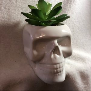 Flora Bunda Zulily white ceramic skull with faux succulent